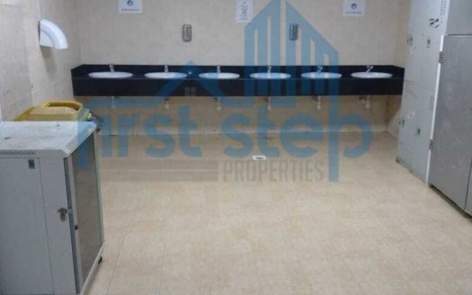 Multiple rooms for rent in DIP 2 near Expo 2020 site