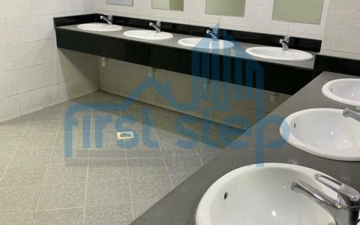 Multiple rooms for rent in DIP 2 near Expo 2020 site